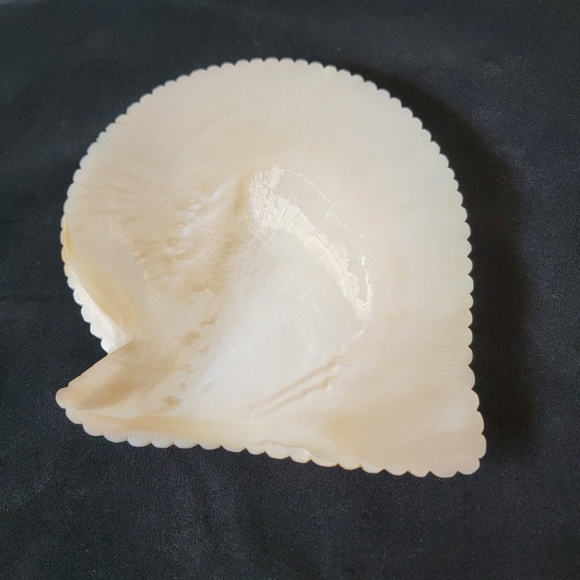 Vintage Mother of Pearl Shell with Asian Scene Carved